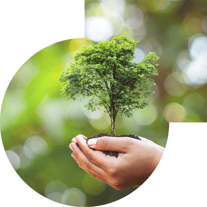 关怀人类、文化、环境与社会